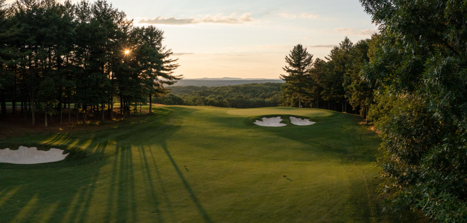 Icon golf clubs luxury golf travel club